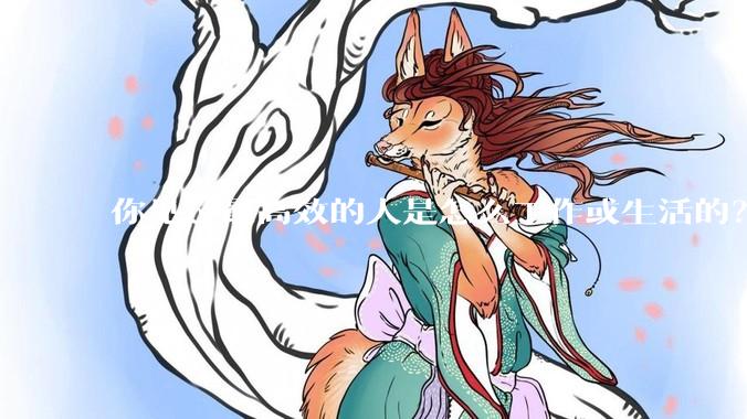 你见过最高效的人是怎么工作或生活的？